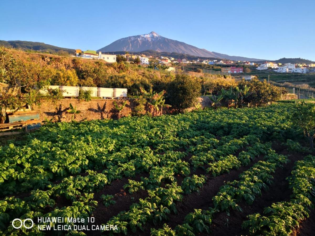 Finca Los Angeles San Juan de la Rambla Exteriér fotografie